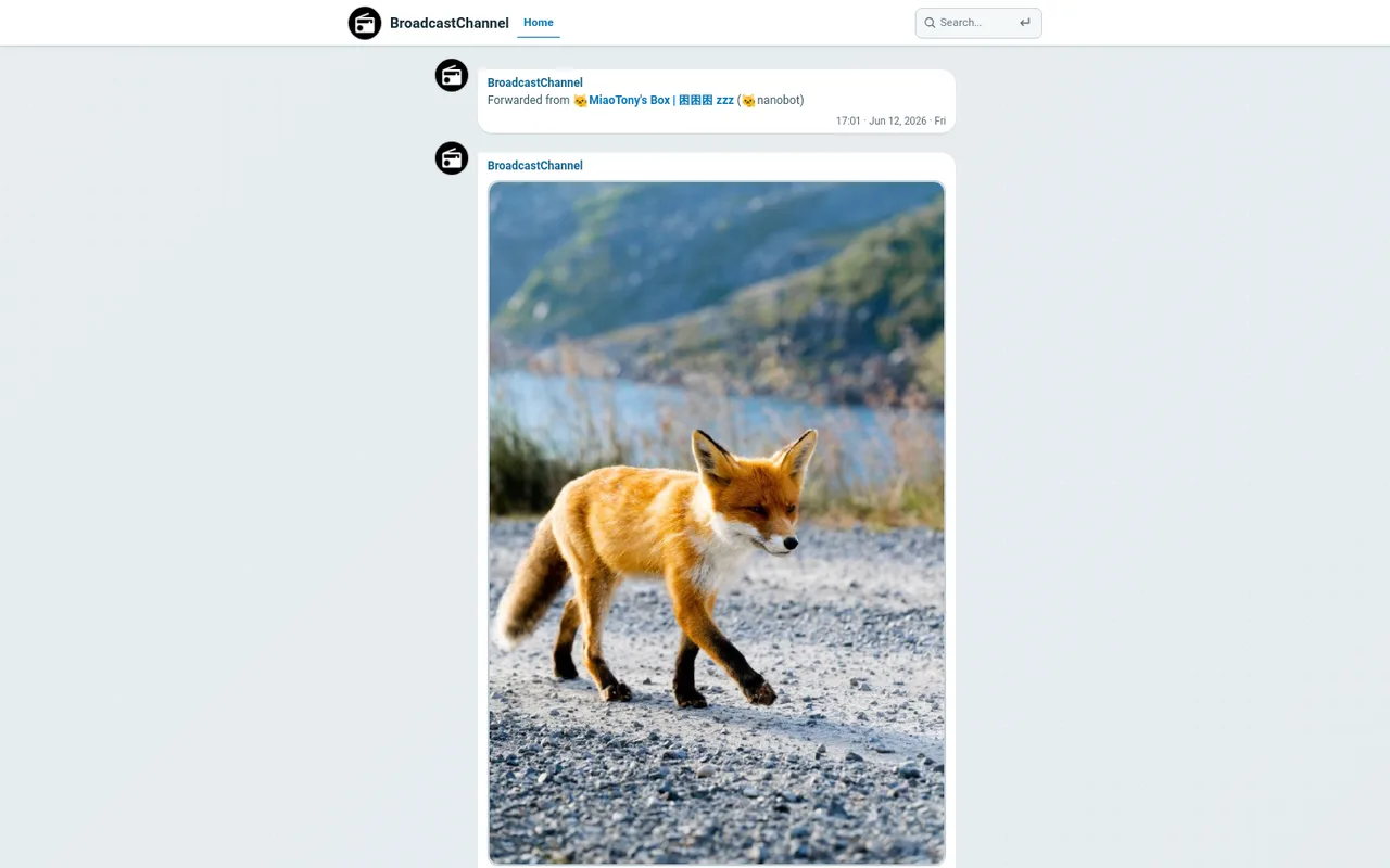 BroadcastChannel demo timeline with a forwarded post and a photo post, under a header with search