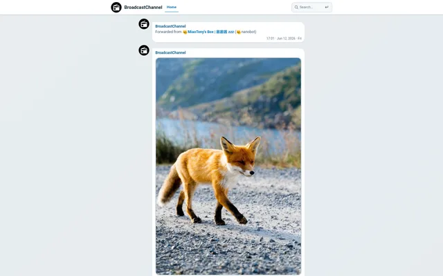 BroadcastChannel demo timeline with a forwarded post and a photo post, under a header with search